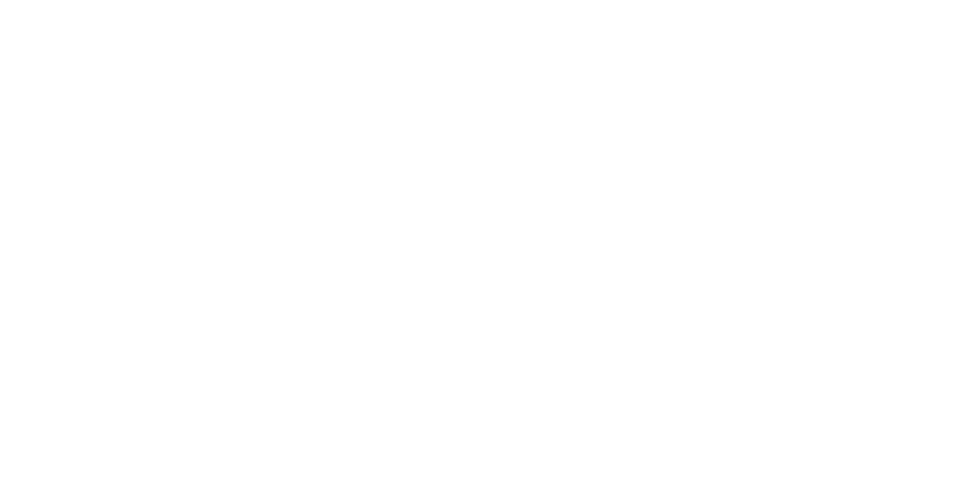 Vértice Academy